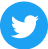 Twitter icon
